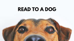 Read to a Dog at Englewood Library